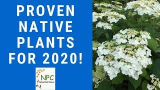 Native plants to grow in 2020: Tested and Proven!