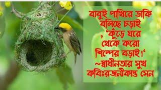 বাবুই পাখিরে ডাকি বলিছে চড়াই| babui pakhire daki bolche chorai |স্বাধীনতার সুখ|আবৃত্তিঃ Touhida Sumi