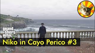 Day 3 - Niko in Cayo Perico (rainy) | GTA V