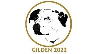 Gilden Media 2022 Reel