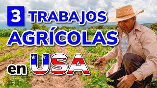  3 Mejores TRABAJOS AGRÍCOLAS en ESTADOS UNIDOS (2025)