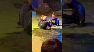 People in Swimming pool At Ripley’s Aquarium of Canada Toronto Canada  