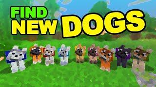 HOW TO FIND ALL NEW DOGS!