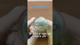 알카트라즈섬 은화 #알카트라즈섬 #은화 #화폐경매 #화폐수집 #영희