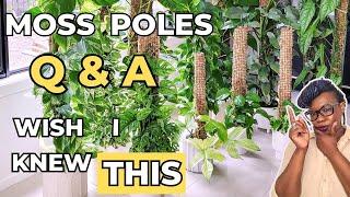 Get Insider Tips For Using Moss Poles | Your Questions Answered