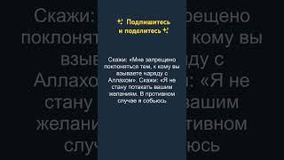 Сура 6 [55-58]  – Аль Анам (Скот) АЛЬ КОРАН РУССКИЙ ПЕРЕВОД