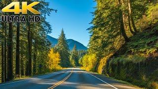 Pacific Northwest Scenic Drive to Olympic National Park Washington 4K