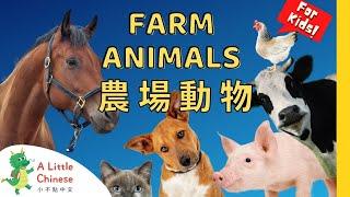 22 Farm Animals 農場動物 | Simple Vocabulary in Traditional Chinese | Learn Chinese for Kids & Toddlers