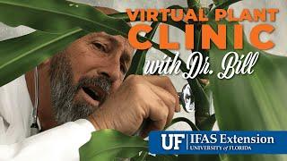 The Virtual Plant Clinic With Dr. Bill March 21, 2024