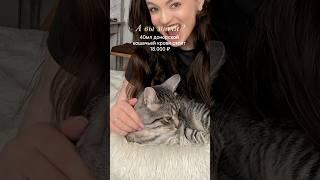 Если любишь своего котика , лучше закажи ему полезный корм Артикул с вб: #233855851#донор #кровь