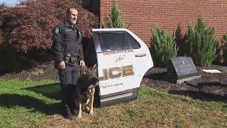 East Haven K9 Ace retires after 8 years in service