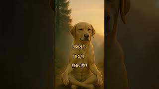 조주무자화두. 개에게도 불성이 있습니까? #화두 #깨달음 #유마 #조주무자화두 #공안 #마음공부 #견성성불 #직지인심 #조사선 #선불교 #선 #해탈 #불이중도 #부처님말씀 #선지식