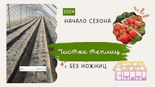 Чистка теплиц. До/ После. Готовимся к СЕЗОНУ  2024