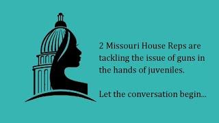 Two MO House Reps tackling juvenile crime w/guns issue in 2A friendly way #MOLeg #womenforgunrights