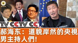 【郝海东】CCTV男主持们毫无道德底线/道貌岸然，张宏民骂粉丝傻逼，朱军玩弄观众“看我把这帮傻逼弄哭”，许旸童可欣乱交，张斌数次出轨... #郝海东 #张斌 #朱军 #白岩松 #许旸 #童可欣 #足球