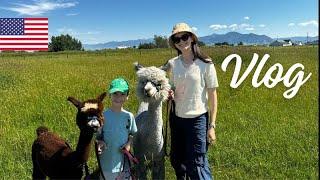 Relaxare totala la tara in America | Vizita la o ferma care nu omoara nici un animal