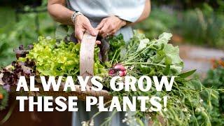 10 Plants ANYONE Can Grow: Kale, Parsley, Sage, Basil, Beans, Lettuce, Arugula, Chives, & More!