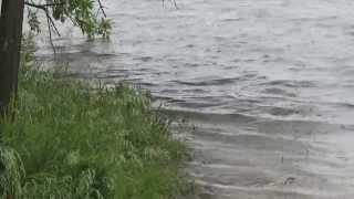 Lake Marion Water Level Update June 19, 2014