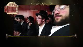 The Gedolim & Shas Yiden