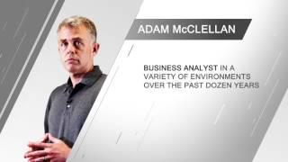 The Business Analyst in an Agile Environment