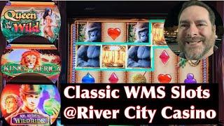 Playing the Old Slots at River City Casino - Queen of the Wild, King of Africa, and More