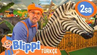 Blippi Orman Hayvanlarını Keşfediyor | Blippi Türkçe - Çocuklar için Eğitici Videolar