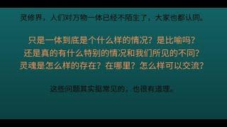 万物一体是怎样的一体？是比喻吗？和灵魂又是怎样的关系？