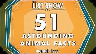 51 Amazing Animal Facts - mental_floss on YouTube - List Show (301)