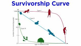 Population Ecology (Life Tables, Age Structure, Population Growth)