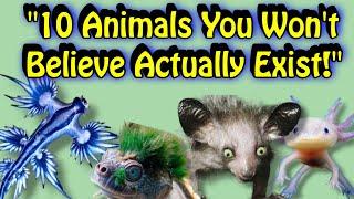 10 Animals You Won't Believe Actually Exist