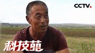 【Agricultural Technology】20171228 | CCTV Agriculture