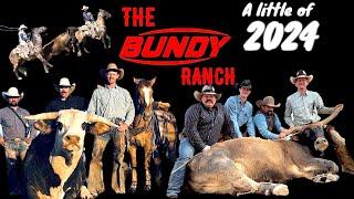 A Little Of 2024 On The Bundy Ranch