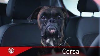 Vauxhall Corsa | #ParallelBarking