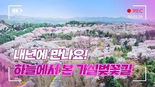 [에버랜드론] 내년 봄에 만나요! 랜선 벚꽃엔딩 | 에버랜드 가실벚꽃길 스카이뷰 드론투어(Sky View Drone)