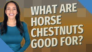 What are horse chestnuts good for?