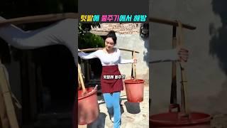 주말농장에 완전 강추 #텃밭 #자동관개 #농사 #채소밭물주기 #주말농장 #옥상텃밭