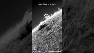 Epic Solar Flare on the Solar Limb! Seen Through My Telescope #astronomy #space #solarsystem