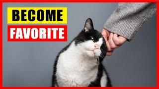 How Cats Choose Their Favorite Person