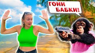 ОБЕЗЬЯНЫ НАПАДАЮТ НА ПХУКЕТЕ!!! | Пхукет Таун, гора обезьян, шопинг и ночной рынок.