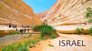 Israel. The Negev Desert in the Sweltering Heat  Immersion in the Beauty of the Wilderness.