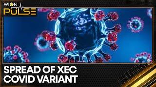 COVID variant XEC sees rapid global growth | Latest News | WION