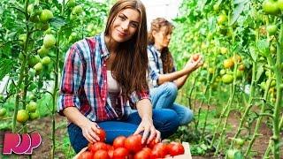 Are Lesbian Farmers Invading America?