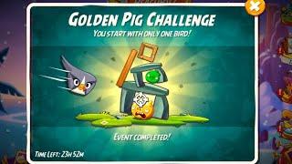 Angry Birds 2 Golden Pig Challenge  How To Play Golden Pig Challenge Today With Silver Slam #070125