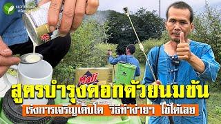 สูตรบำรุงดอกผลไม้จากนมข้น เร่งการเจริญเติบโต วิธีทำง่ายๆ ใช้ได้เลย #พืชผักสวนครัว #นมข้นหวาน #อนิติ