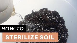 How I Mix and Sterilize Soil for Houseplants | Sterilize soil with boiling water