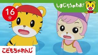 【16分アニメ】プールに　チャレンジ！ | プール・海特集 | 夏のお出かけ | しまじろうのわお！アニメ | しまじろうチャンネル公式