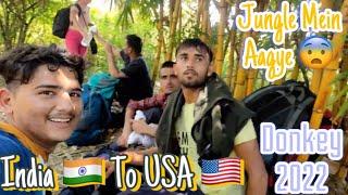 India  To USA  | Part - 04 | जंगल में घुस गए । America Donkey | Donkey 2022| 2 Numbari