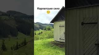 карпатське село #шортс #карпати #гори #природа #село #tiktok #природа #юмор #shorts