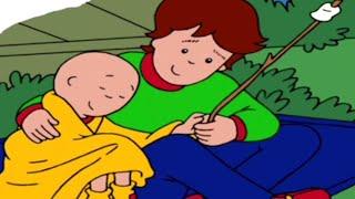 Caillou em Português  Episódios Completos   O safari do Caillou   Desenho Animado 