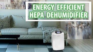 Dehumidifier with HEPA air cleaner to control humidity, dust, virus, pathogens | VackerGlobal